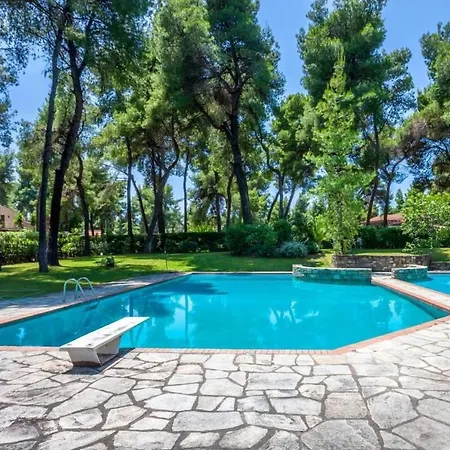 Palms Jacuzzi And Pool