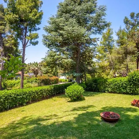 Vilă Palms Jacuzzi And Pool