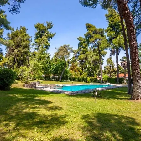 Vilă Palms Jacuzzi And Pool *