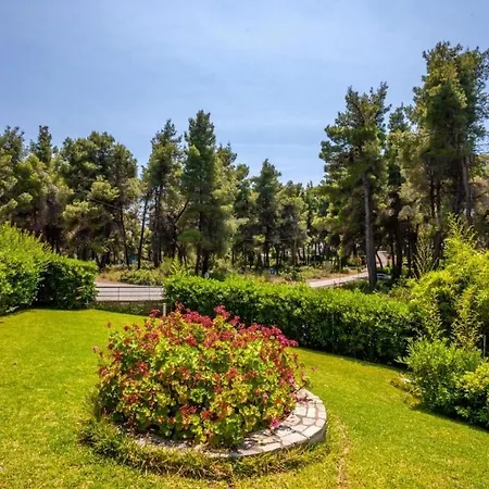 Vilă Palms Jacuzzi And Pool